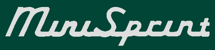 Minisprint Logo NEU