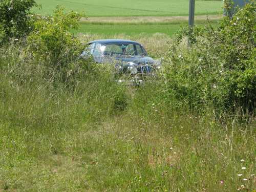 img 0616