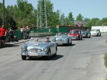 convoibraun2