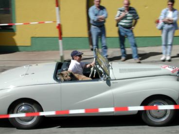 convoibraun2