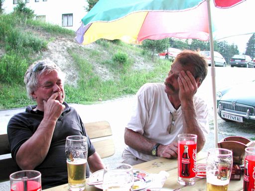 ingo willi