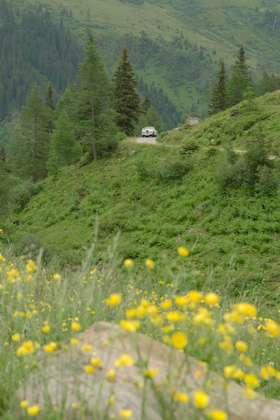 D200 32343