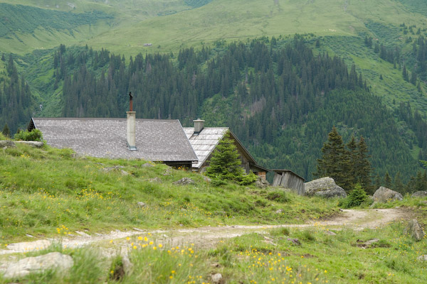 D200 32375