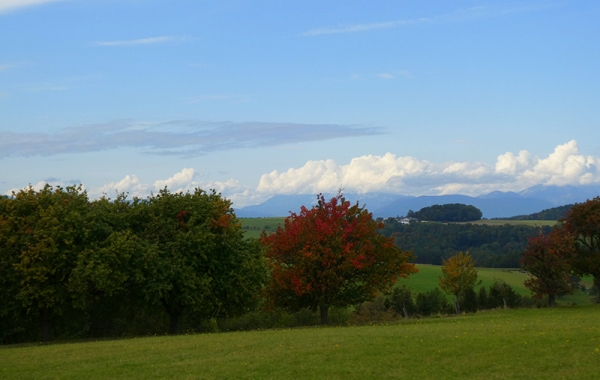 Herbstausfahrt 2020